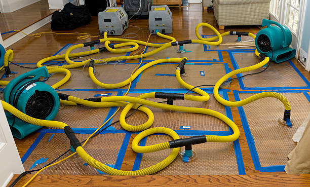 Professional Flood Damage Restoration technician working in Cameron, WV